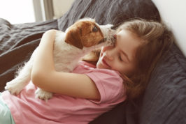 Jack Russel licking girl's face